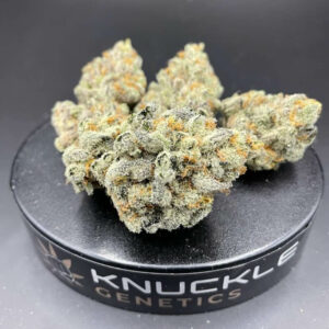 Cookie Dough (Flower)
