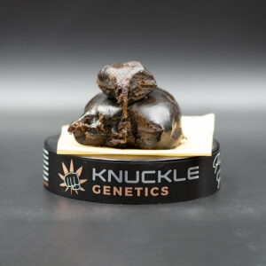 High THC Solventless Temple (Bubble Hash)