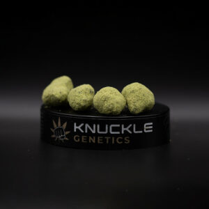Premium High THC (Moon Rock)